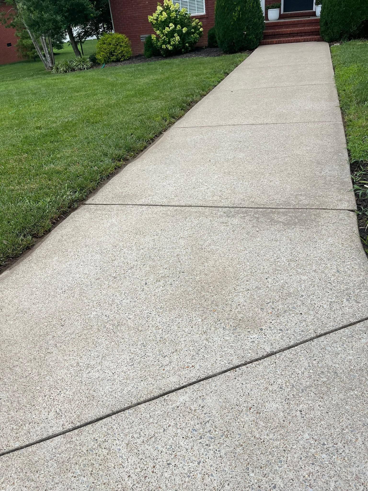 Sidewalk Cleaning